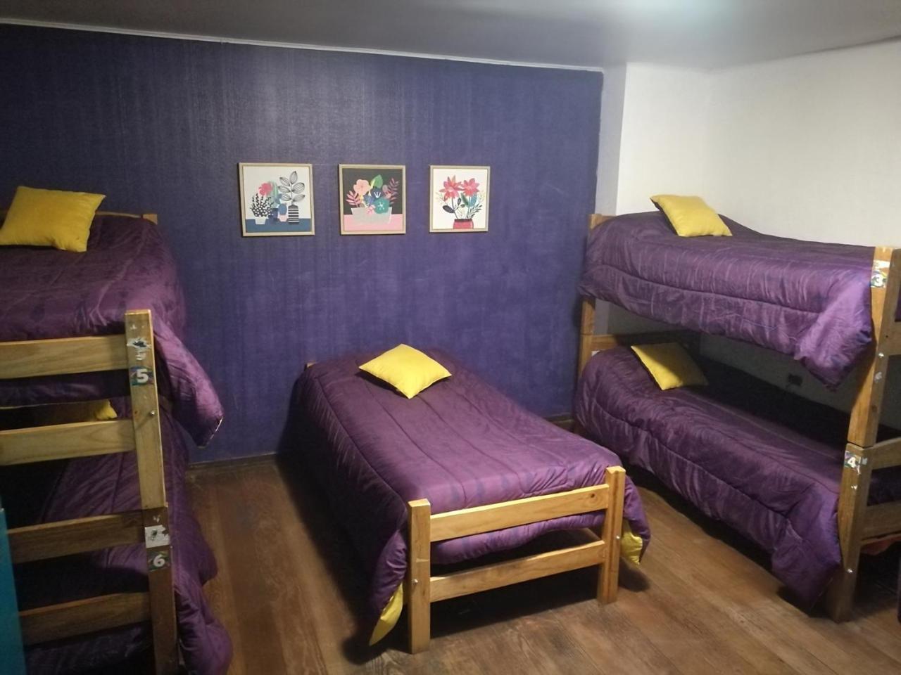 Columba Hostel Vina del Mar Kültér fotó